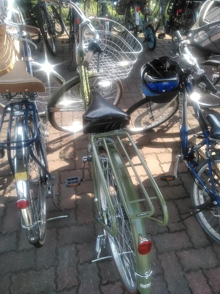 小 6 自転車 乗れ ない