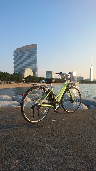 2wd 自転車 ブリヂストン