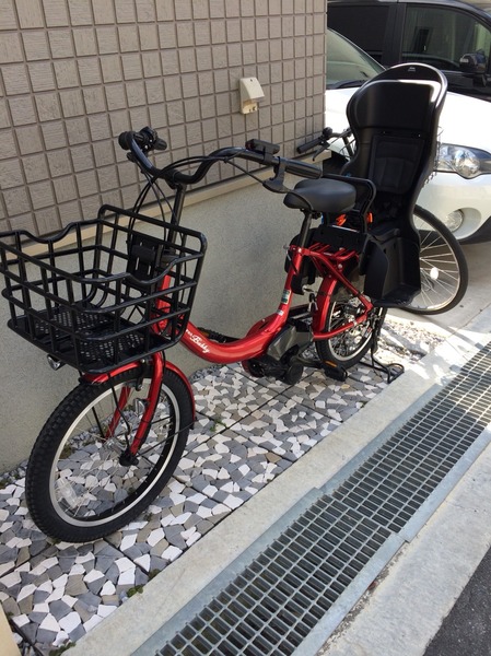 色が珍しくて可愛い!